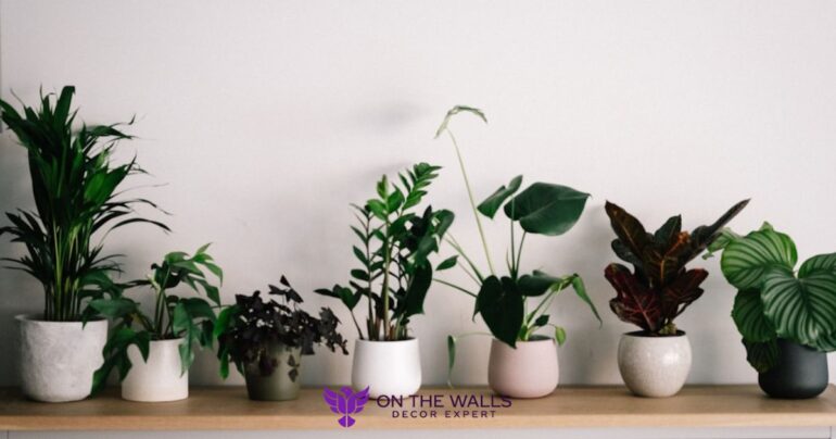 Add Life with Indoor Plants by onthewalls.pk
